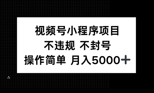 视频号小程序项目，不违规不封号，操作简单 月入5000+-课程网