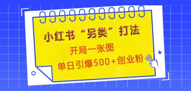 小红书“另类”打法，开局一张图，单日引爆500+精准创业粉【揭秘】-课程网