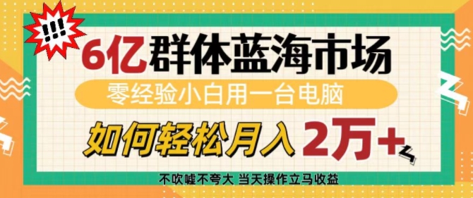 6亿群体蓝海市场，零经验小白用一台电脑，如何轻松月入过w【揭秘】-课程网