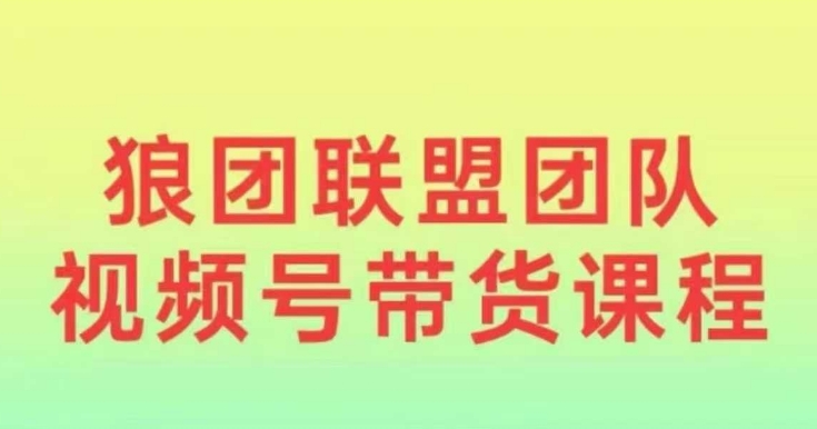 狼团联盟2024视频号带货，0基础小白快速入局视频号-课程网