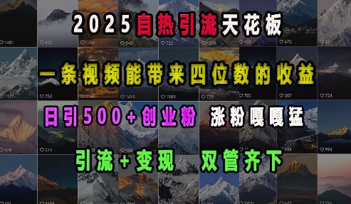 2025自热引流天花板，一条视频能带来四位数的收益，引流+变现双管齐下，日引500+创业粉，涨粉嘎嘎猛-课程网