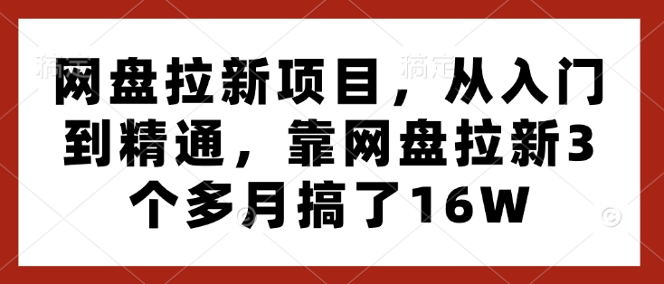 网盘拉新项目，从入门到精通，靠网盘拉新3个多月搞了16W-课程网